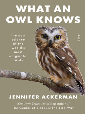 cover image of What an Owl Knows